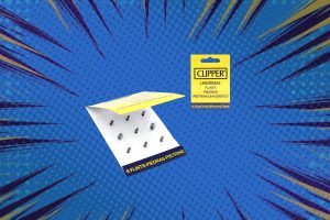 Pierres briquet Clipper